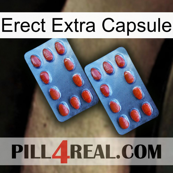 Erect Extra Capsule 05.jpg